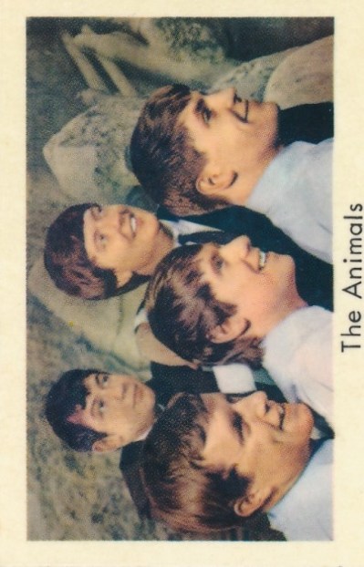 Animals 1a9 - kopia